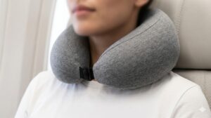 best travel pillow for neck pain in 2026