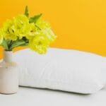 best pillows for allergies in 2026