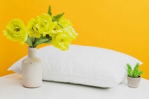best pillows for allergies in 2026