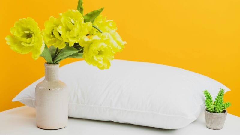 Best Pillows for Allergies in 2026: 5 Top-Rated Hypoallergenic Picks for Dust Mite Protection, Asthma Relief, and Sneeze-Free Sleep