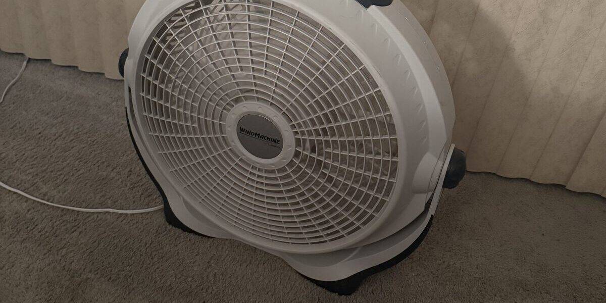 Best Bedside Fans for Cooling in 2026: Cooler Air and Steady White Noise
