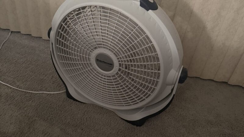 Best Bedside Fans for Cooling in 2026: Cooler Air and Steady White Noise