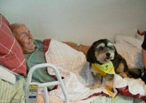 best bed rails for elderly