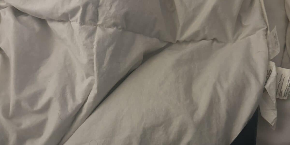 Best Down Comforters in 2026: Light, Warm, and Breathable