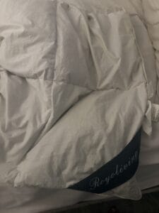 down comforter on bed
