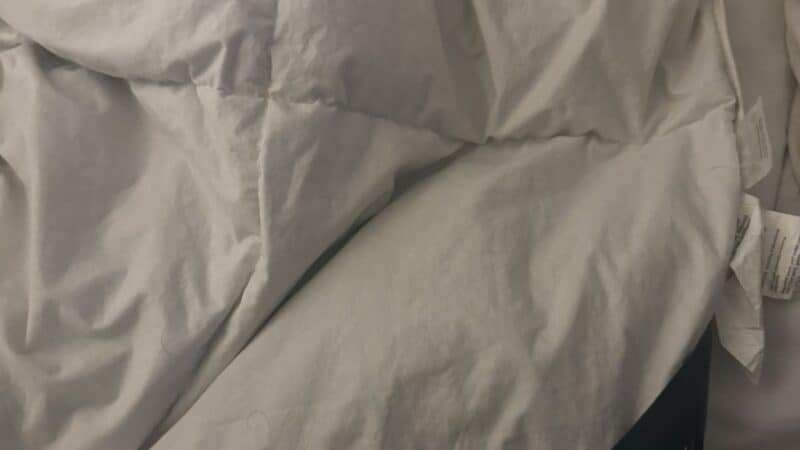Best Down Comforters in 2026: Light, Warm, and Breathable