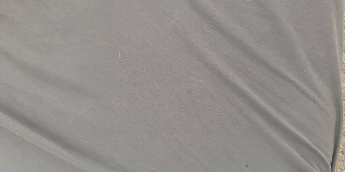 Best Percale Sheets in 2026: Crisp, Cool, Breathable Picks