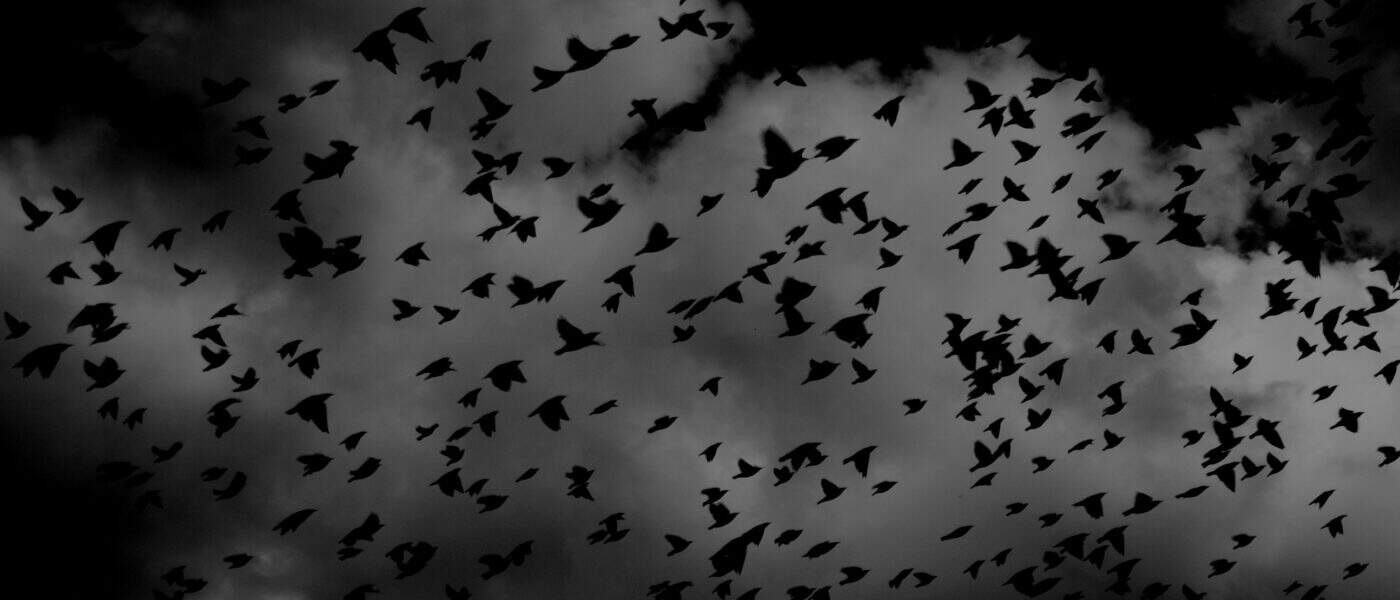 Why Do I Have Nightmares? Common Causes and How to Sleep Easier