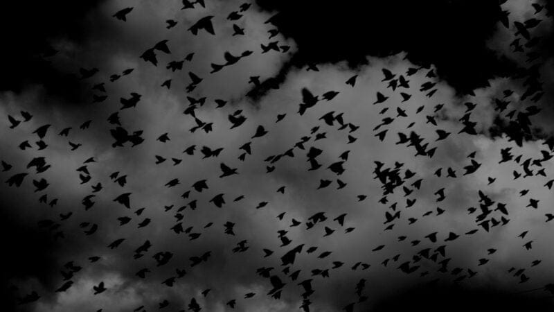 Why Do I Have Nightmares? Common Causes and How to Sleep Easier