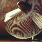 white noise machine vs fan