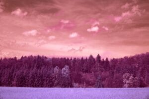 why do vivid dreams sometimes and not others