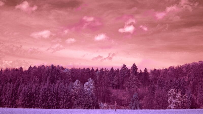 Radical Dream Shifts: Why Do Vivid Dreams Happen Sometimes?