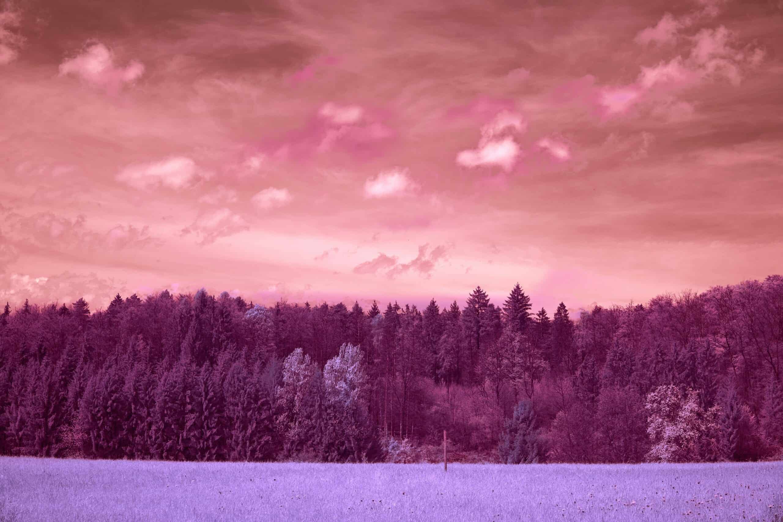 Radical Dream Shifts: Why Do Vivid Dreams Happen Sometimes?