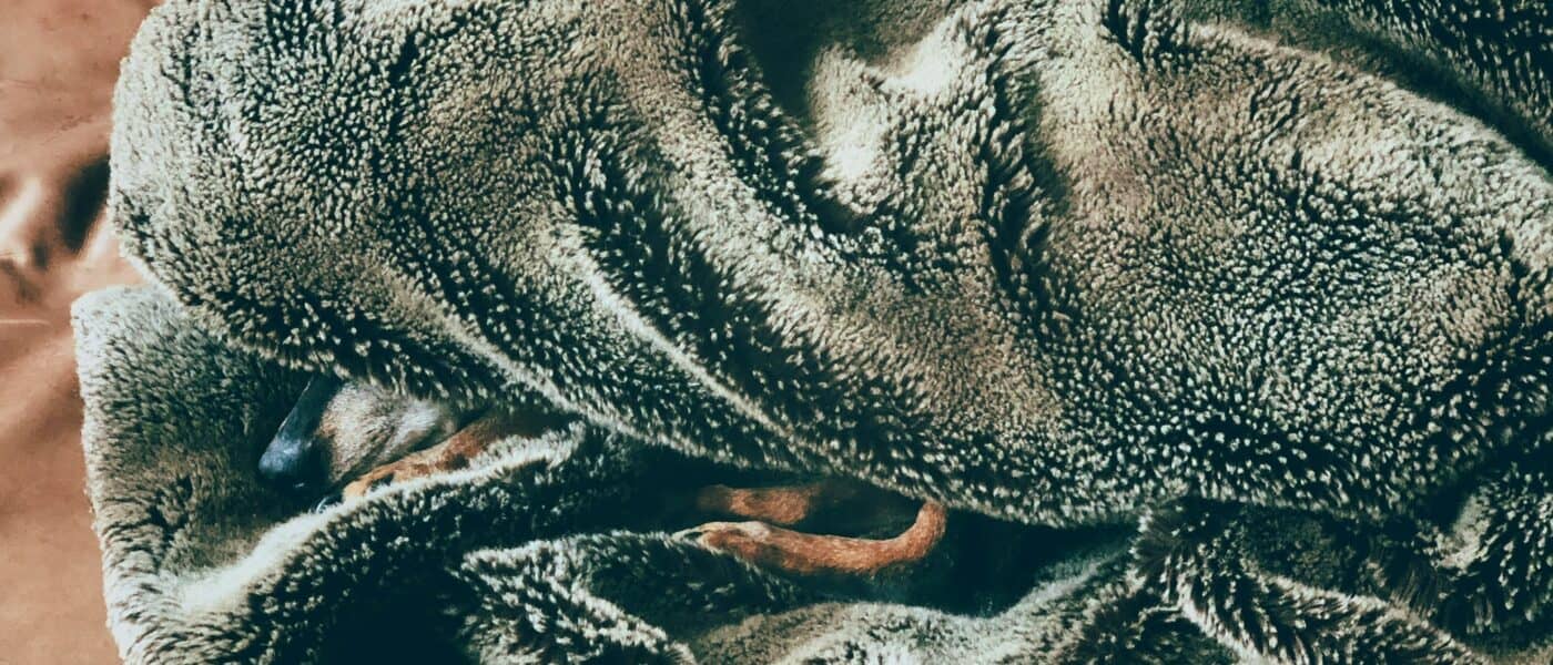 Best Sherpa Blankets in 2026: Plush, Cozy Warmth for Cold Nights