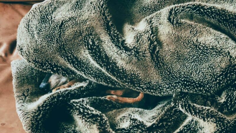 Best Sherpa Blankets in 2026: Plush, Cozy Warmth for Cold Nights