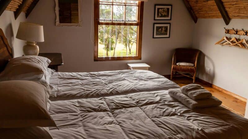 Best Wedge Pillows for Couples and Shared Beds in 2026: Half the Bed Is Not Yours