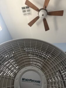 a couple fans ceiling and floor for bedroom