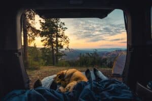 two people sleeping in camper van