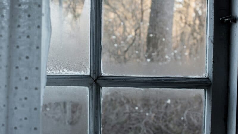 Best Window Condensation Solutions in 2026: Warm Air Meeting Cold Glass