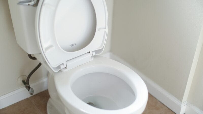 Best Raised Toilet Seats and Toilet Risers in 2026: Reducing the Distance You Have to Lower Yourself