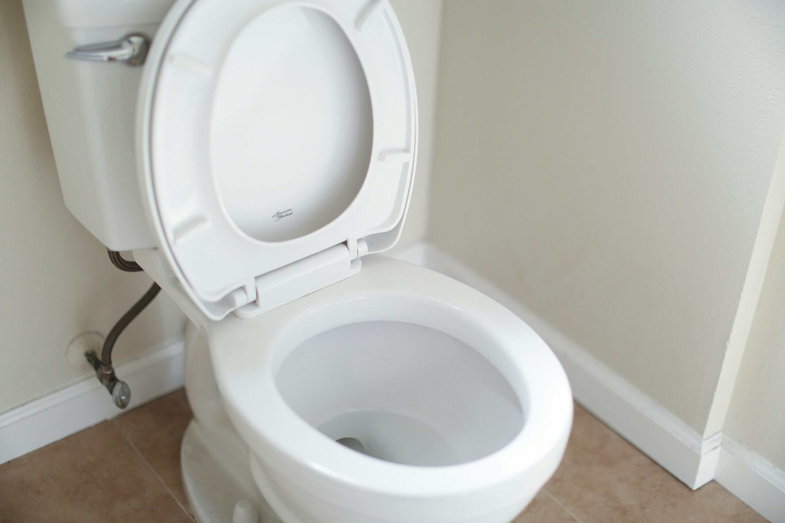 Best Raised Toilet Seats and Toilet Risers in 2026: Reducing the Distance You Have to Lower Yourself