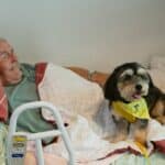 someone laying down in home care