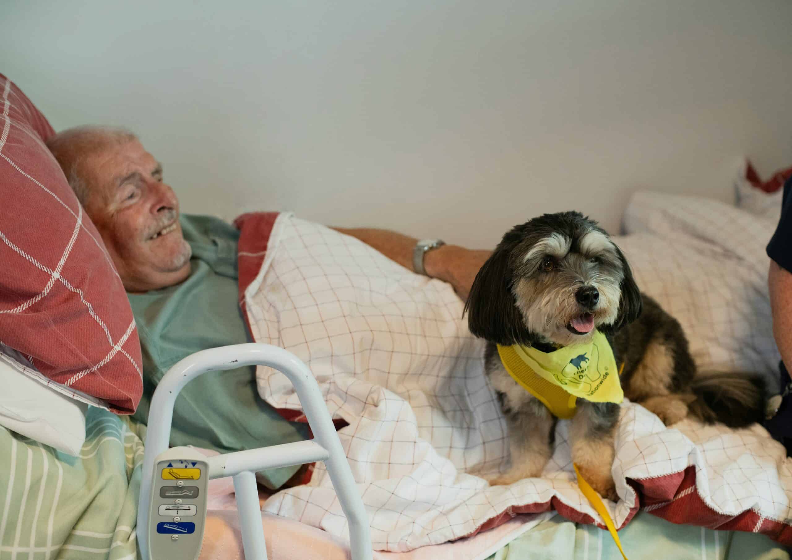 Best Hospital Bed Alternatives for Home Recovery in 2026: Six Equipment Categories That Cover Most Discharge Needs